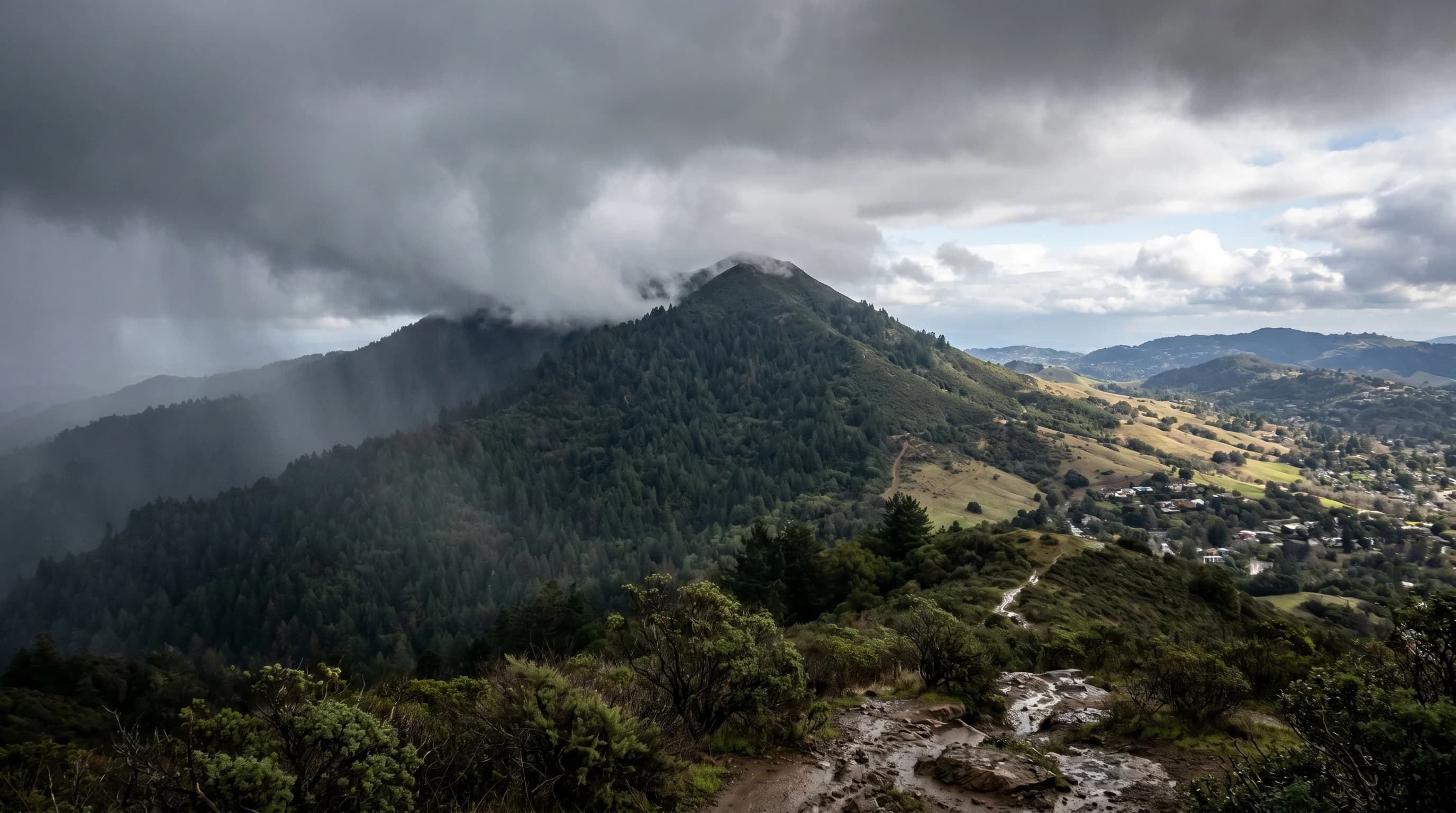 Diagram of orographic rainfall showing moist Pacific air being forced up a mountain, forming clouds and rain on the windward side, and creating a dry rain shadow on the leeward side