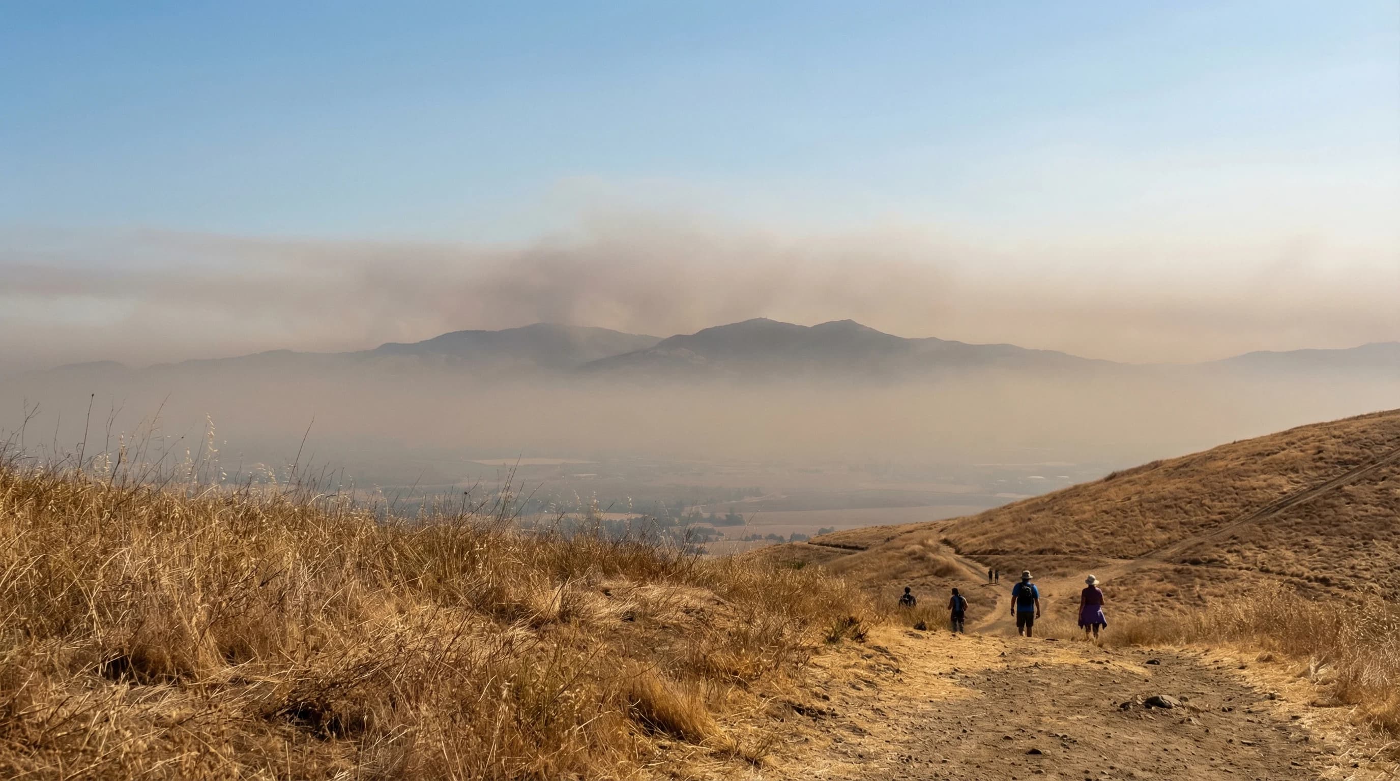 Bay Area Ozone: The Region's #1 Air Quality Problem