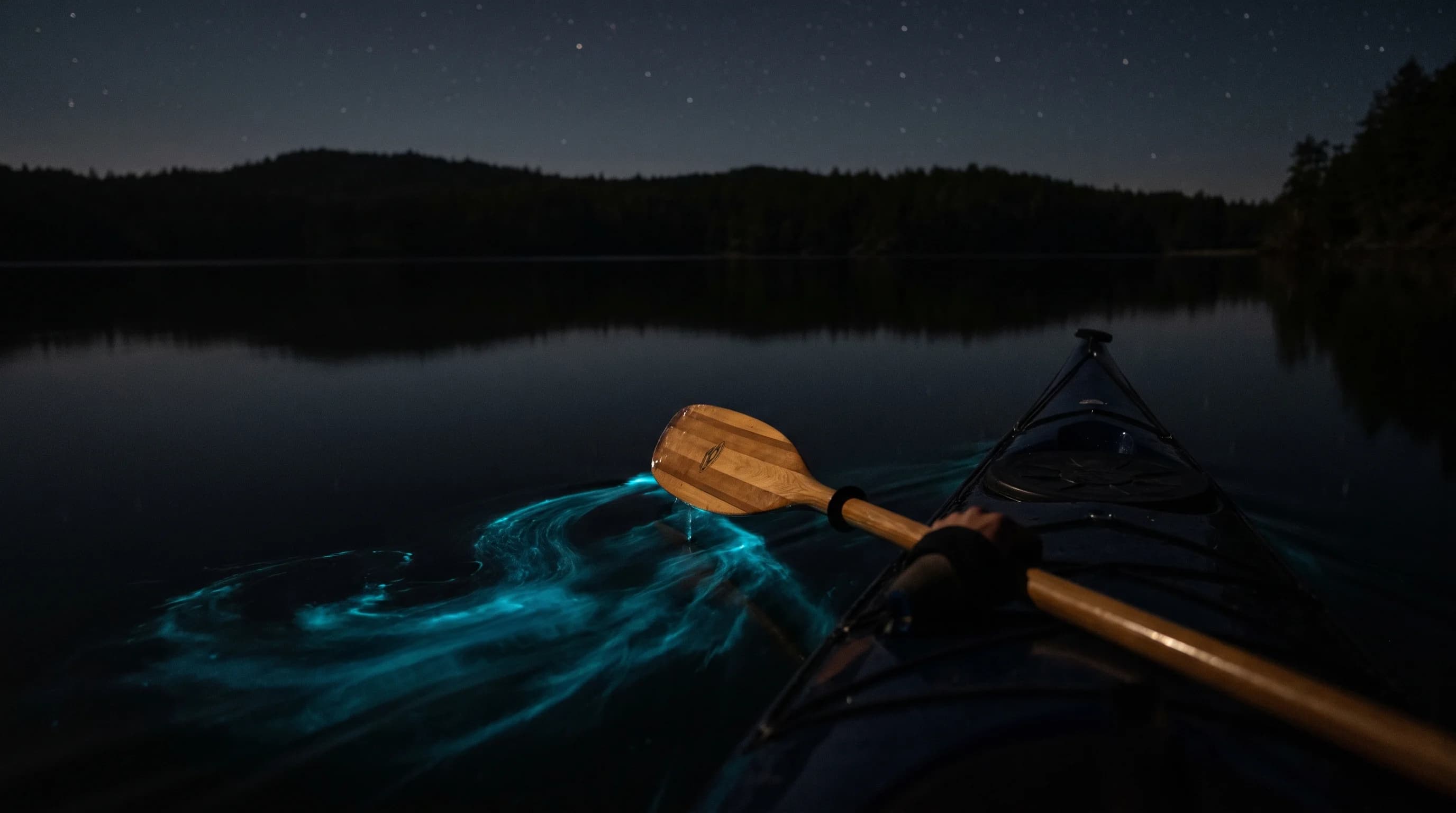 Bioluminescence in Tomales Bay: When and How to See the Glow