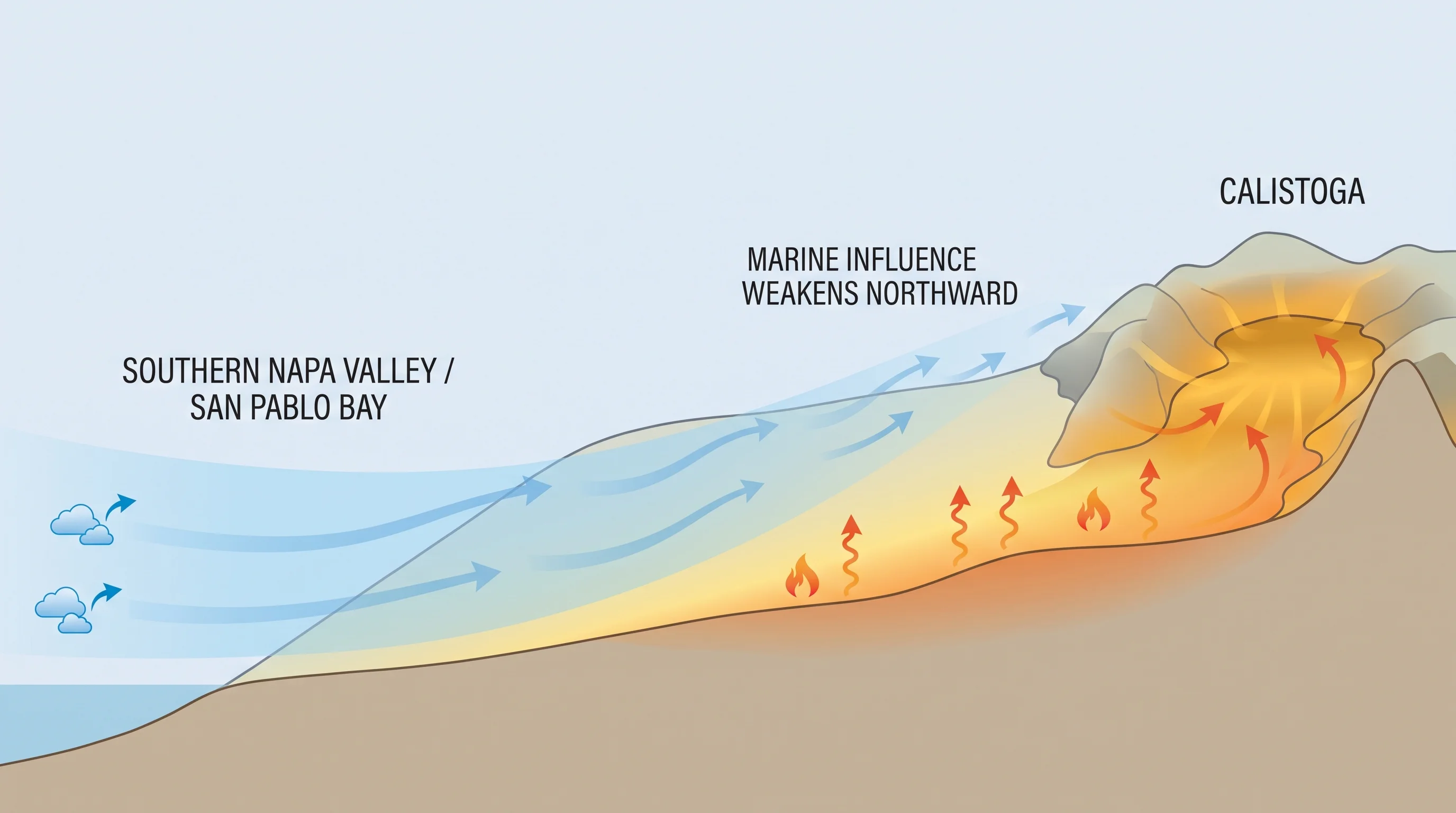 Scientific cross-section showing marine cooling weakening toward the narrower northern Napa Valley near Calistoga