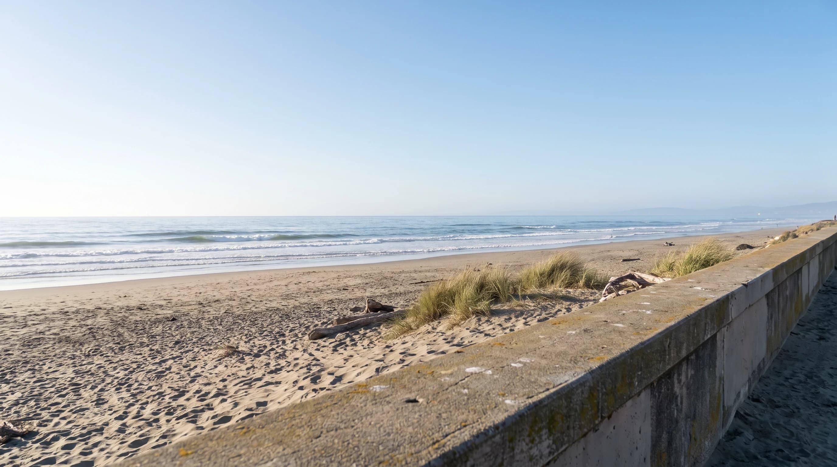 Can a Tsunami Hit San Francisco? What History and Maps Show