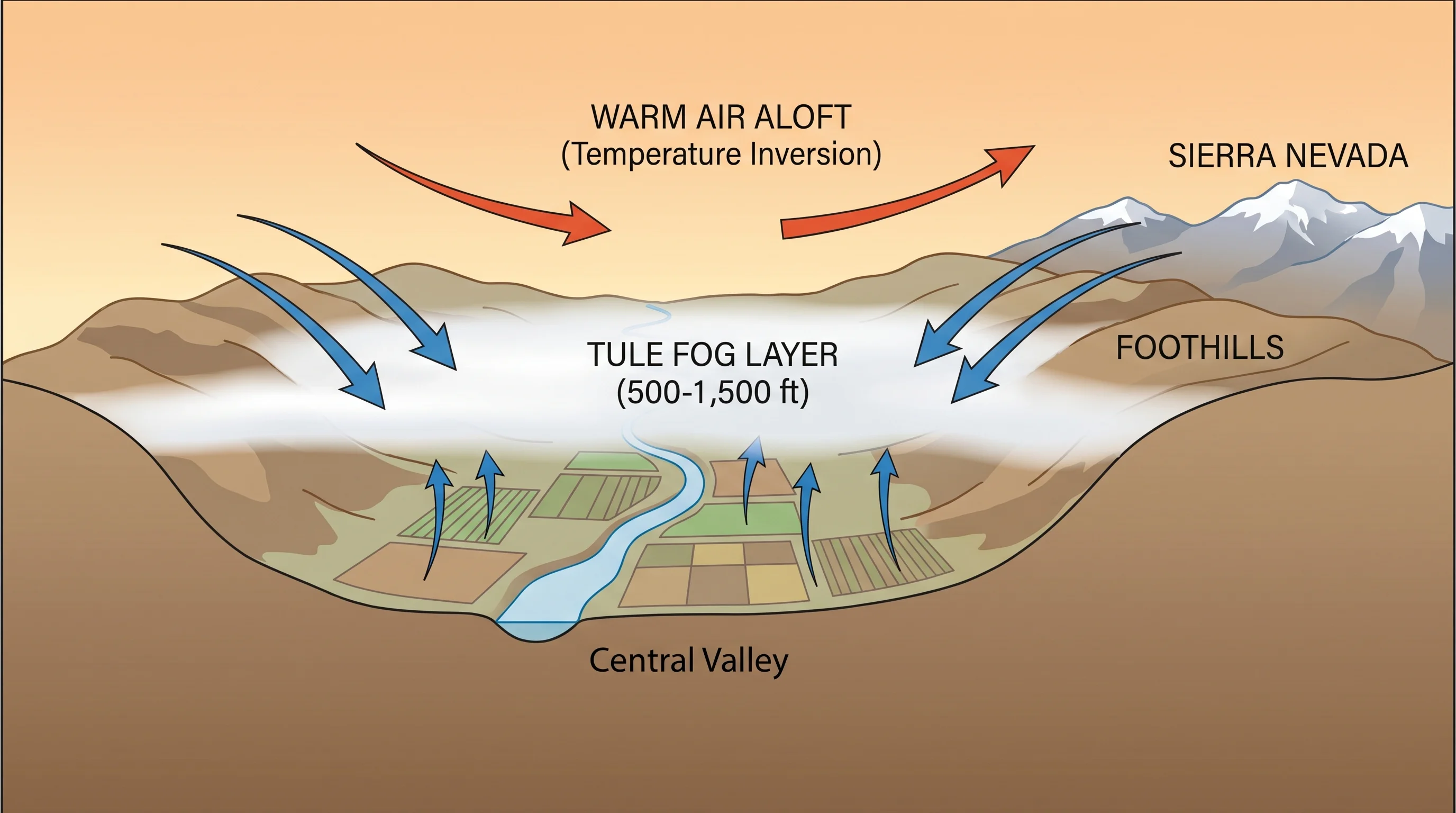 Aerial view of the Central Valley completely covered in tule fog with mountain peaks visible above the white fog layer