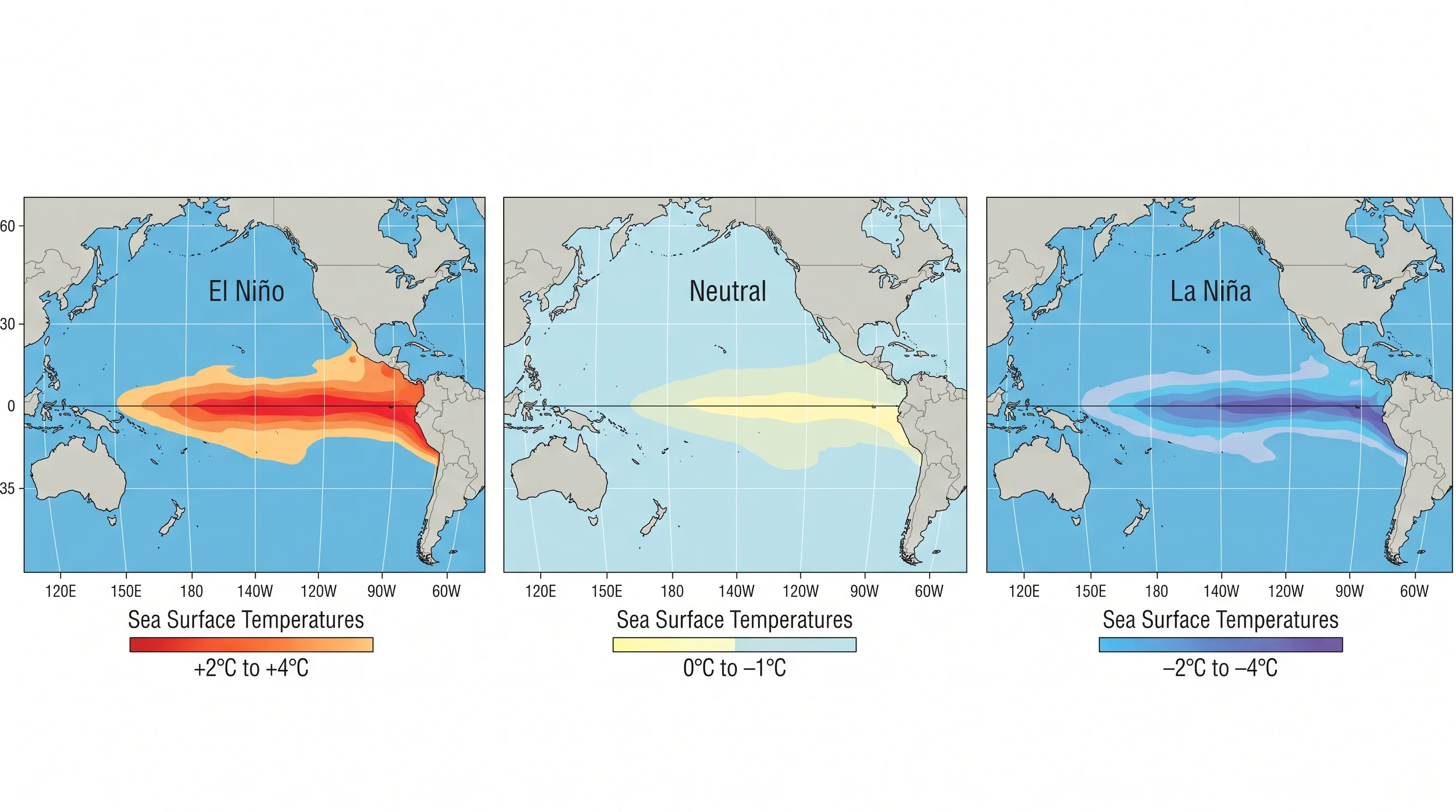 Comparison of sea surface temperatures during El Niño (warm), La Niña (cool), and neutral phases
