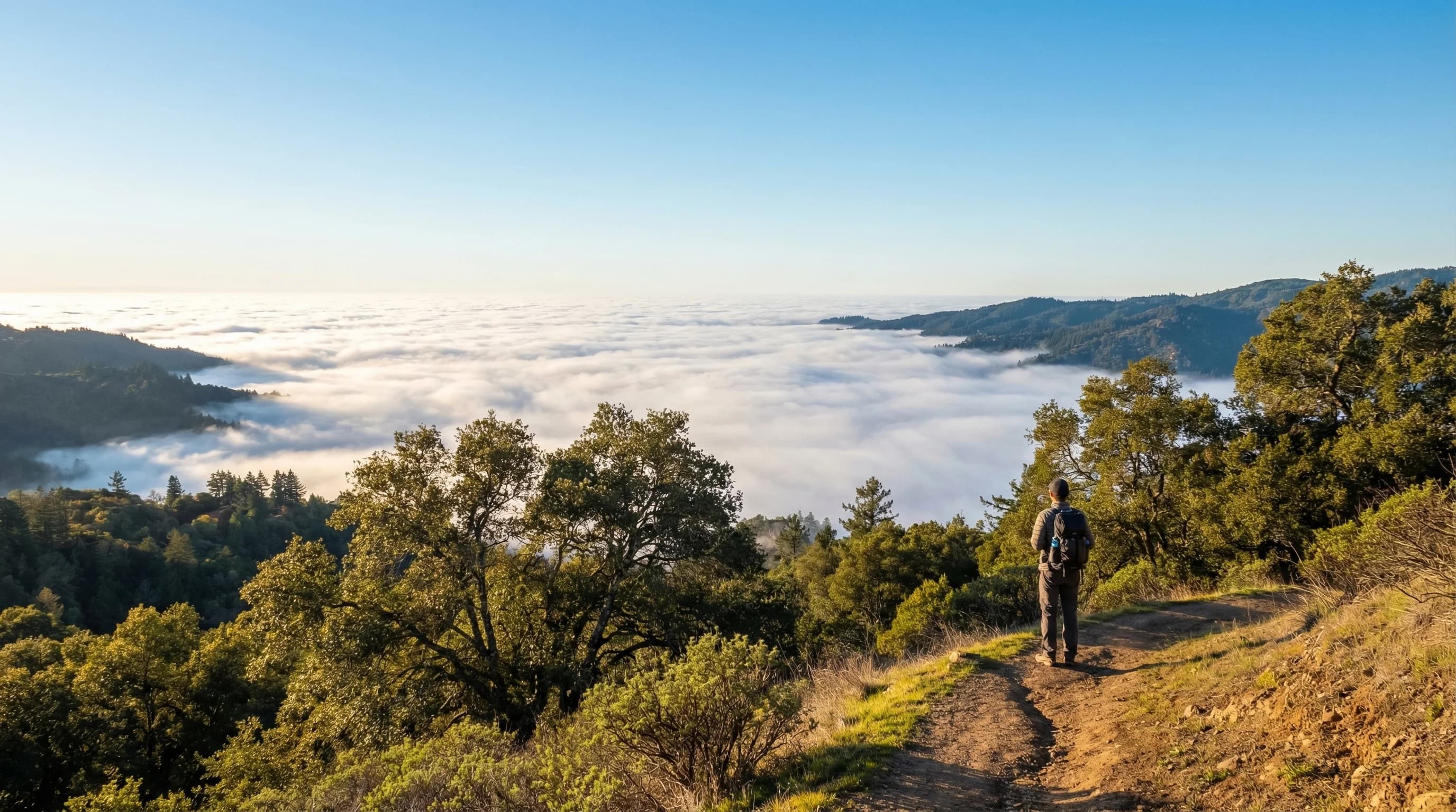 How Elevation Affects Fog Patterns in the Bay Area
