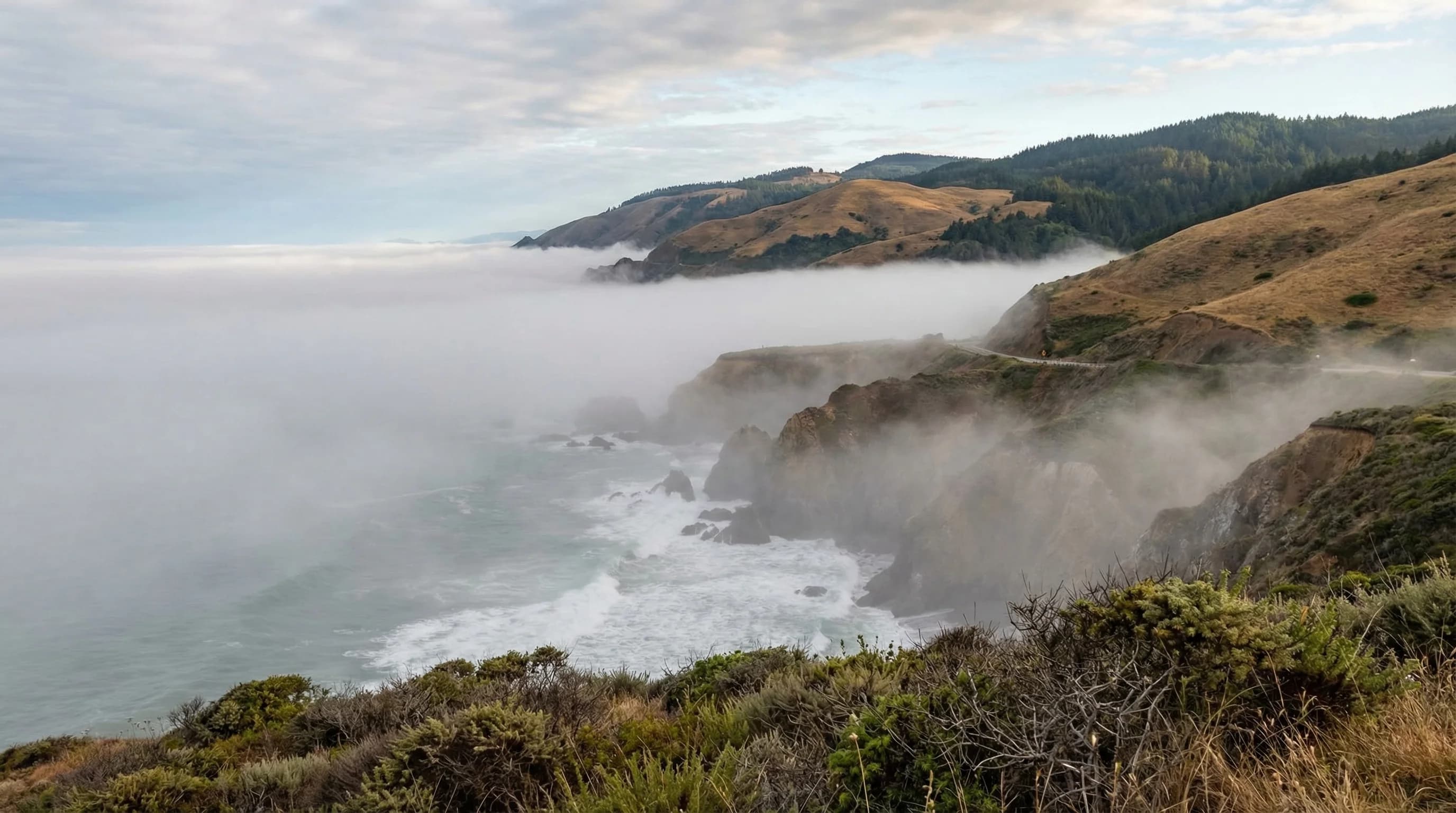 Coastal fog bank along the Northern California coastline at Bodega Bay or Point Reyes, thick marine layer hugging the ocean and cliffs at dawn