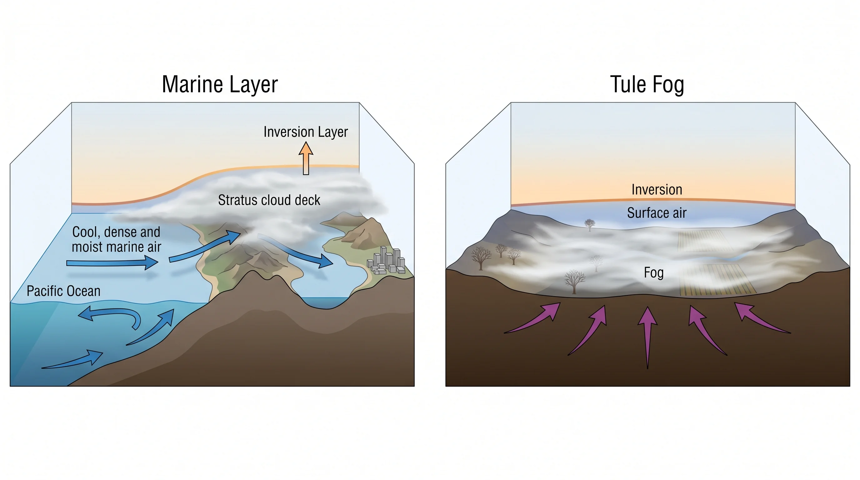 Diagrams comparing how marine layer forms over the ocean vs. how tule fog forms over land