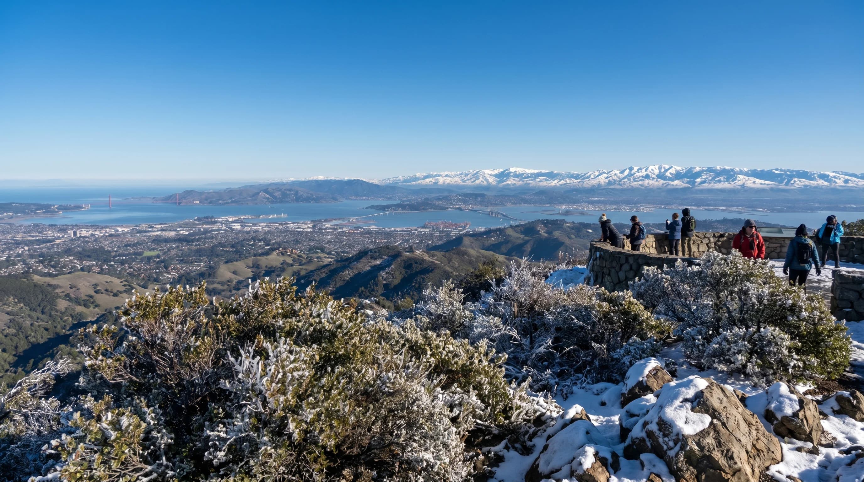 Mount Diablo summit rising above a sea of fog covering the East Bay, with clear blue sky above and the fog layer below stretching to the horizon