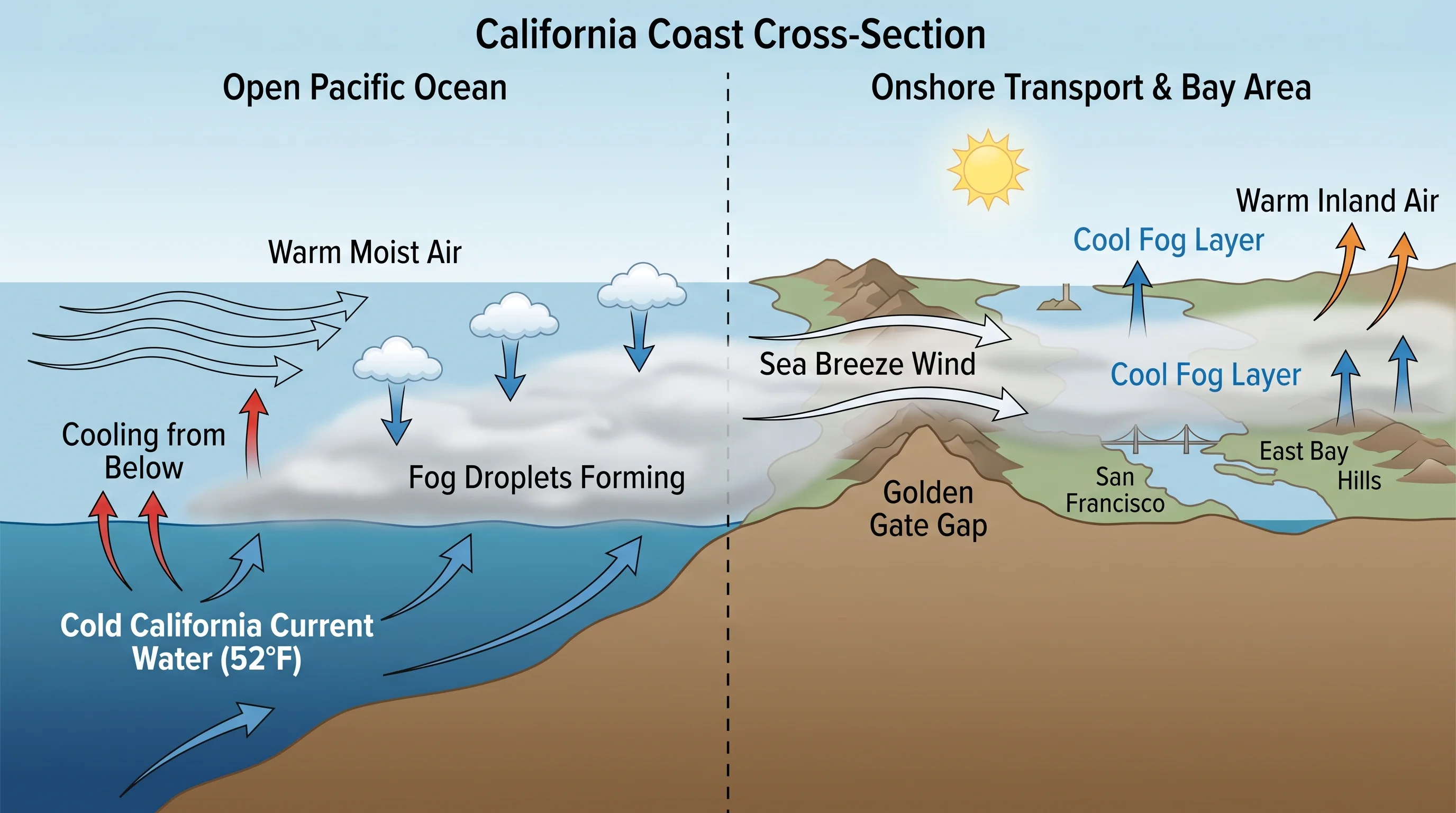 Satellite view showing a bank of ocean fog off the California coast flowing toward the Bay Area shoreline
