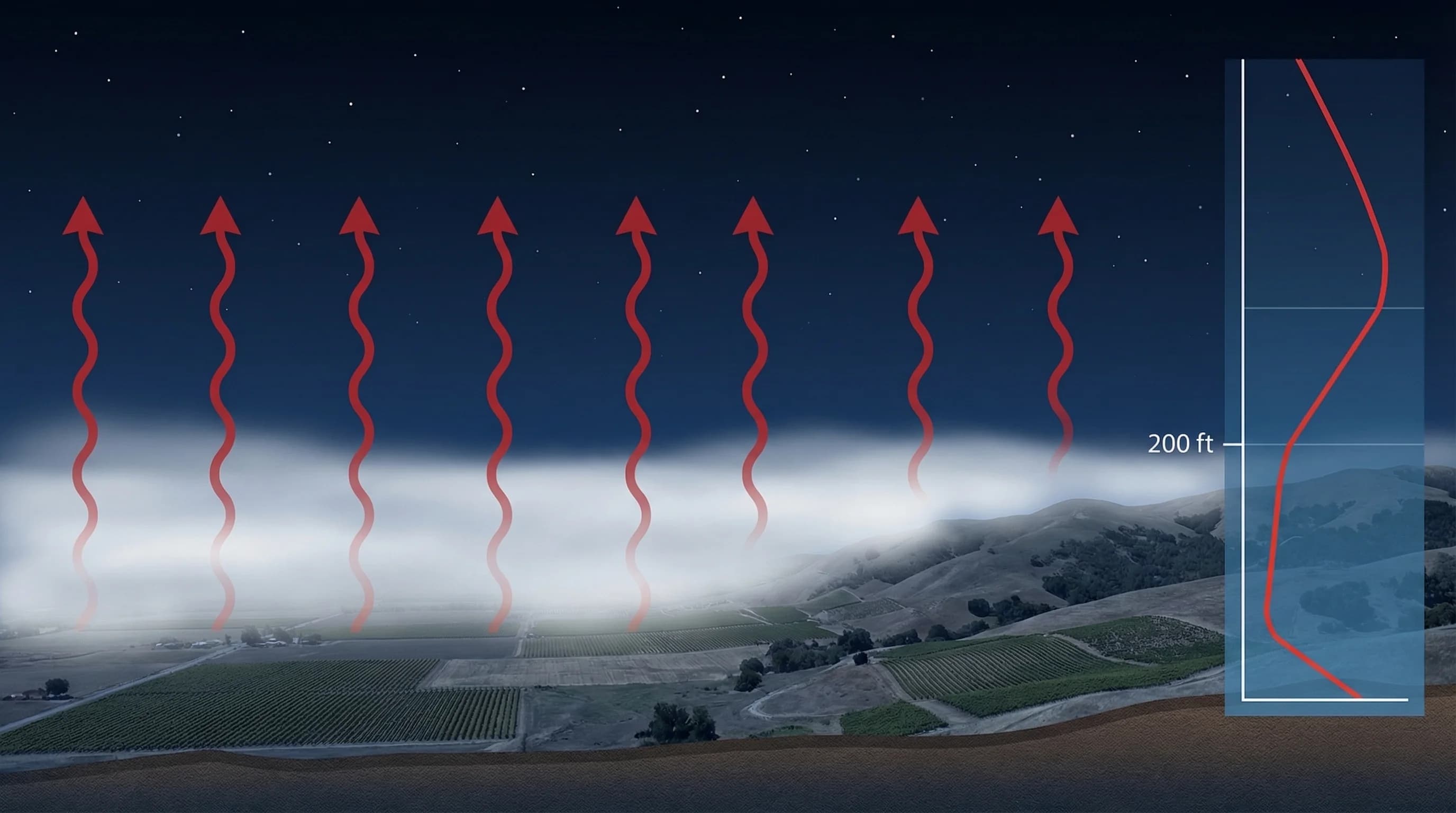 Diagram showing radiation fog formation: clear night sky, ground radiating heat upward, cool air pooling near the surface, fog condensing just above ground level