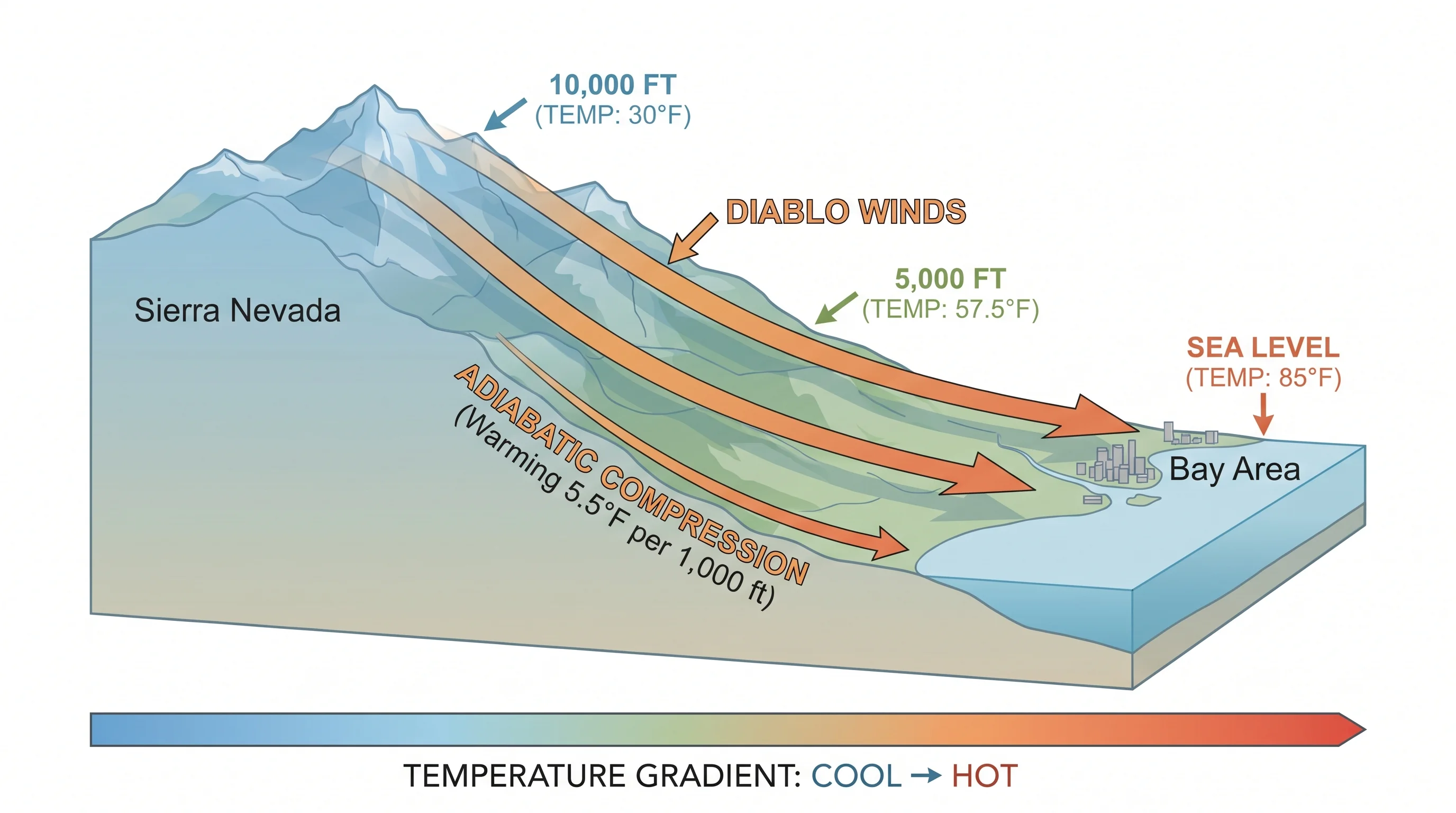 Diagram showing how Diablo Winds warm adiabatically as they descend from mountains to coast