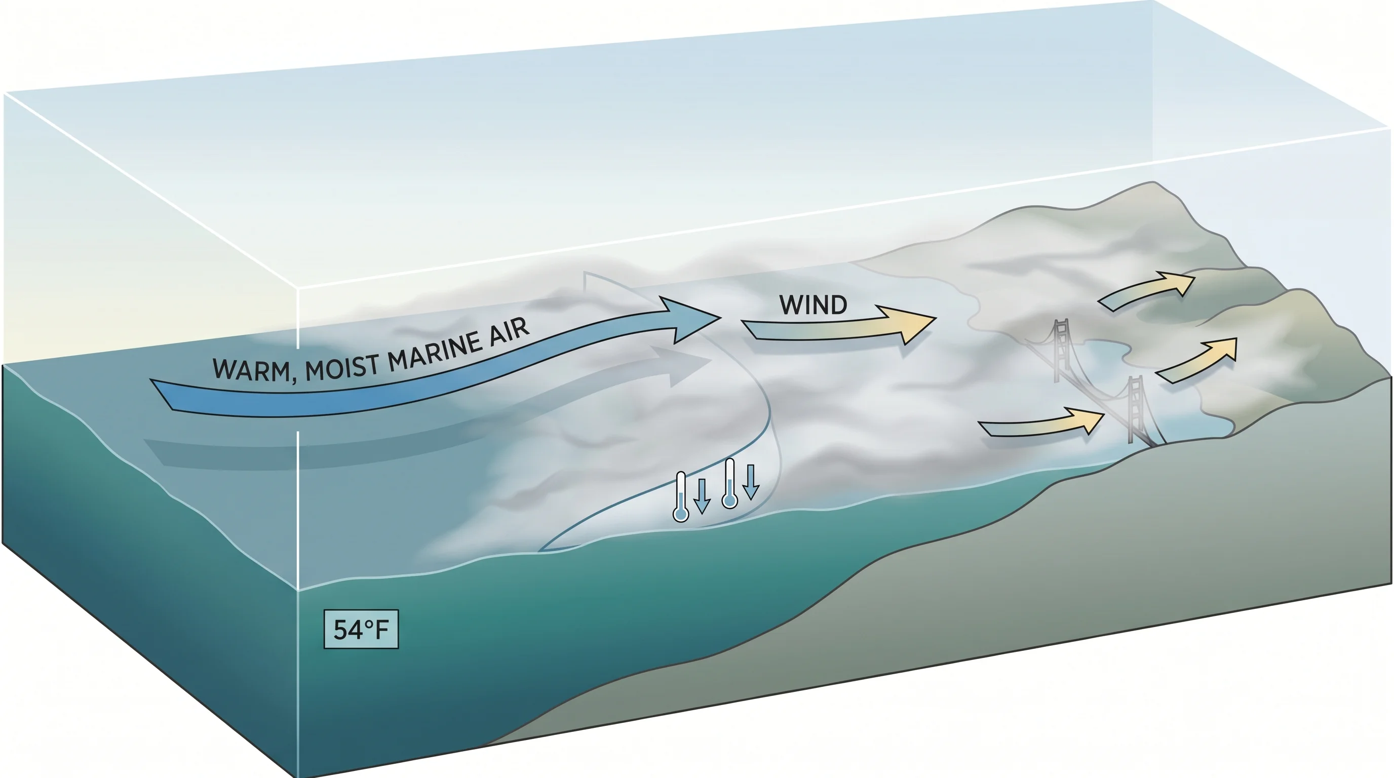 Diagram showing advection fog formation over the cold California Current, with fog bank moving inland through the Golden Gate driven by onshore wind