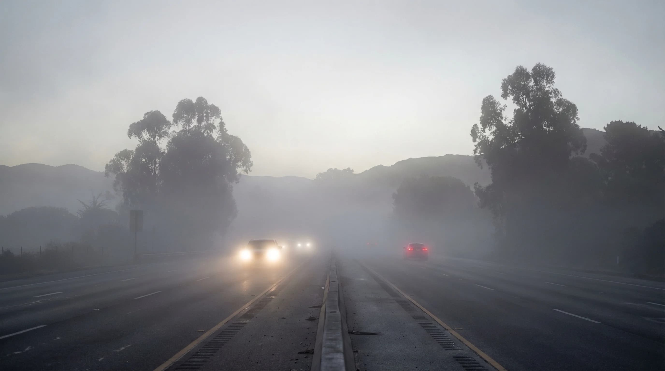 What Is a Dense Fog Advisory? Bay Area Fog Warnings Explained