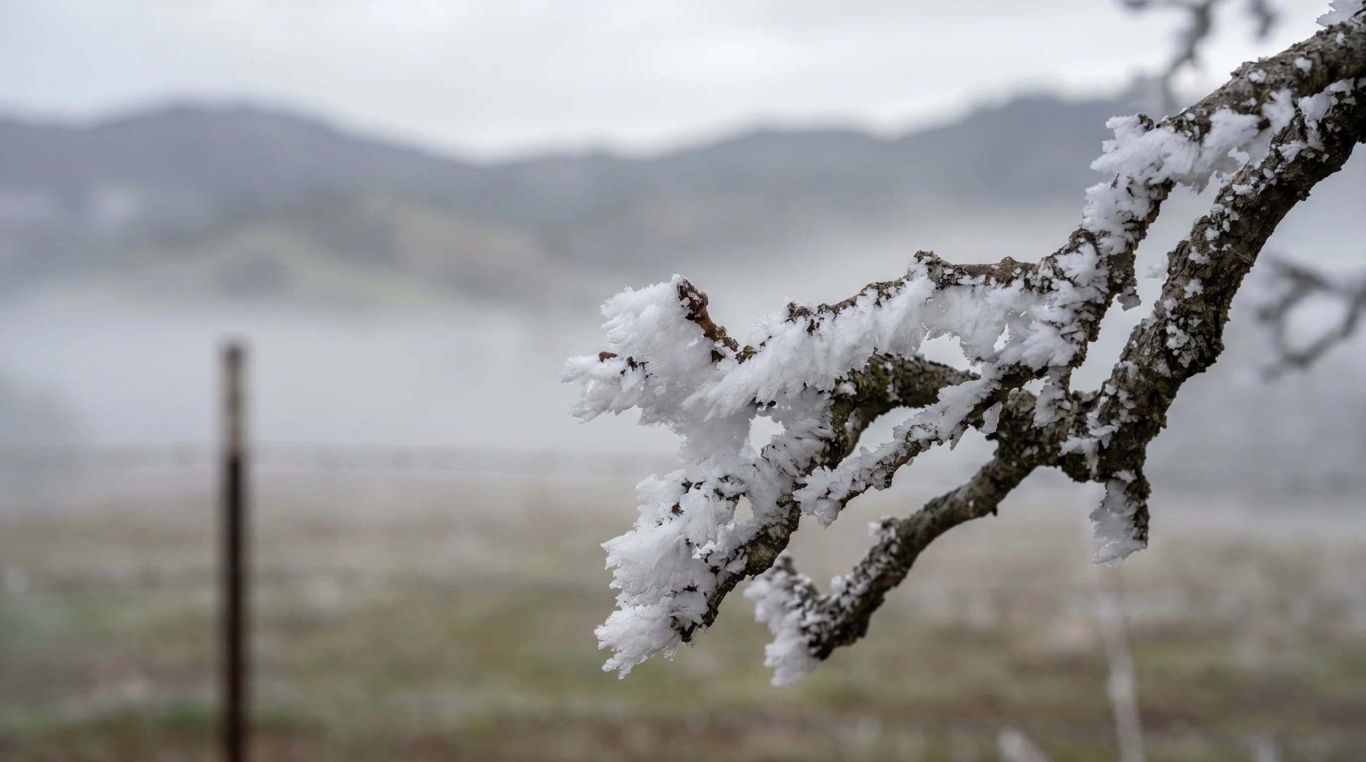 Scientific illustration explaining What Is Freezing Fog? When Bay Area Fog Turns to Ice