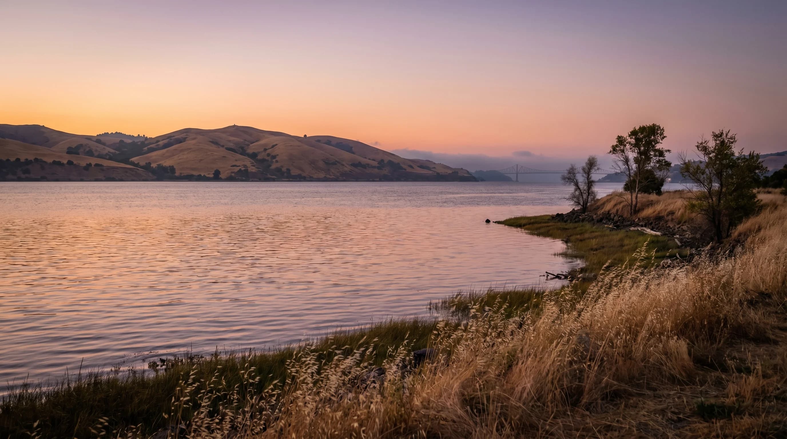 What Is the Delta Breeze? The Cool Air Current That Saves the Bay Area from Summer Heat