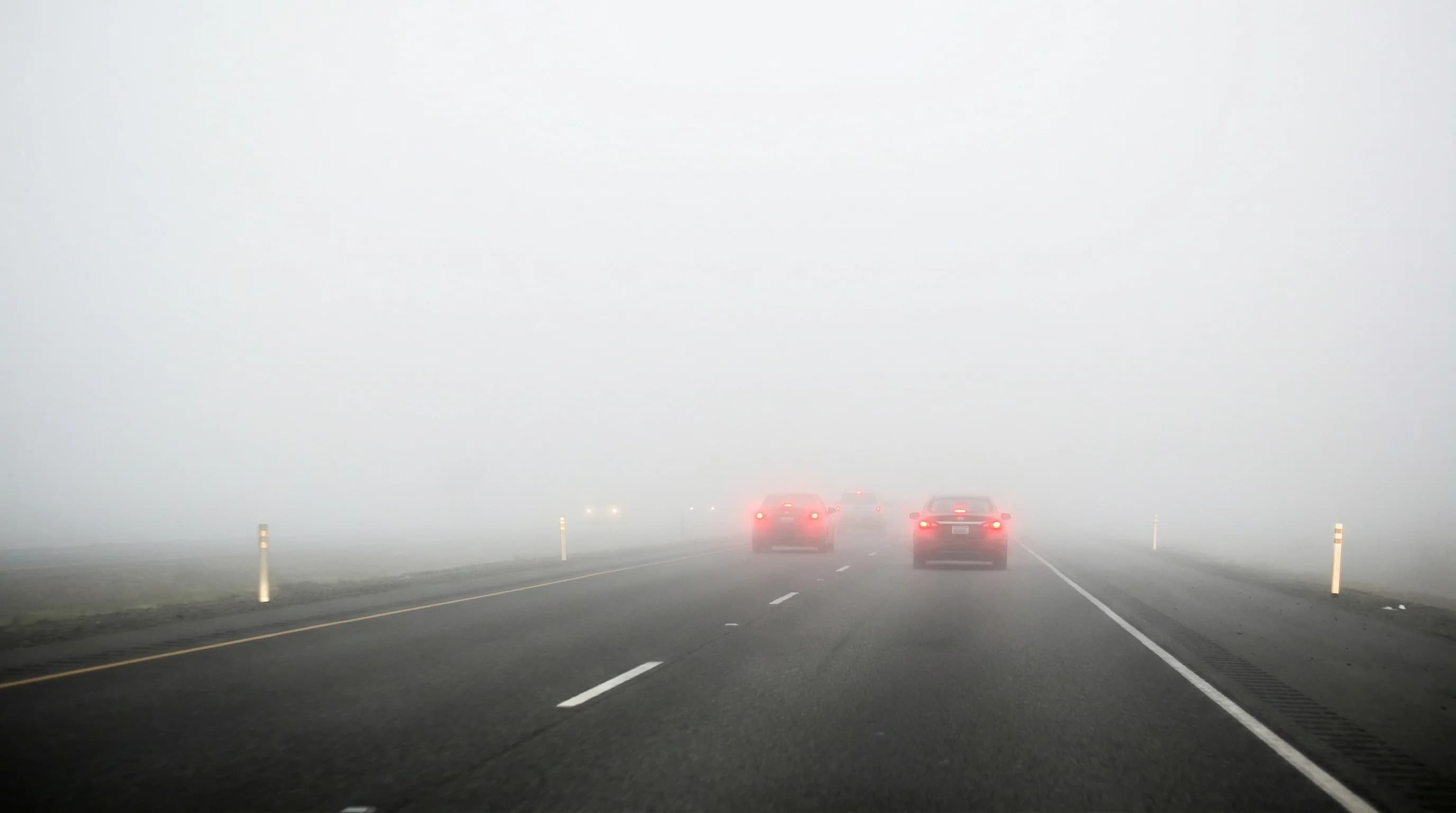 What Is Tule Fog? California's Densest Fog Explained