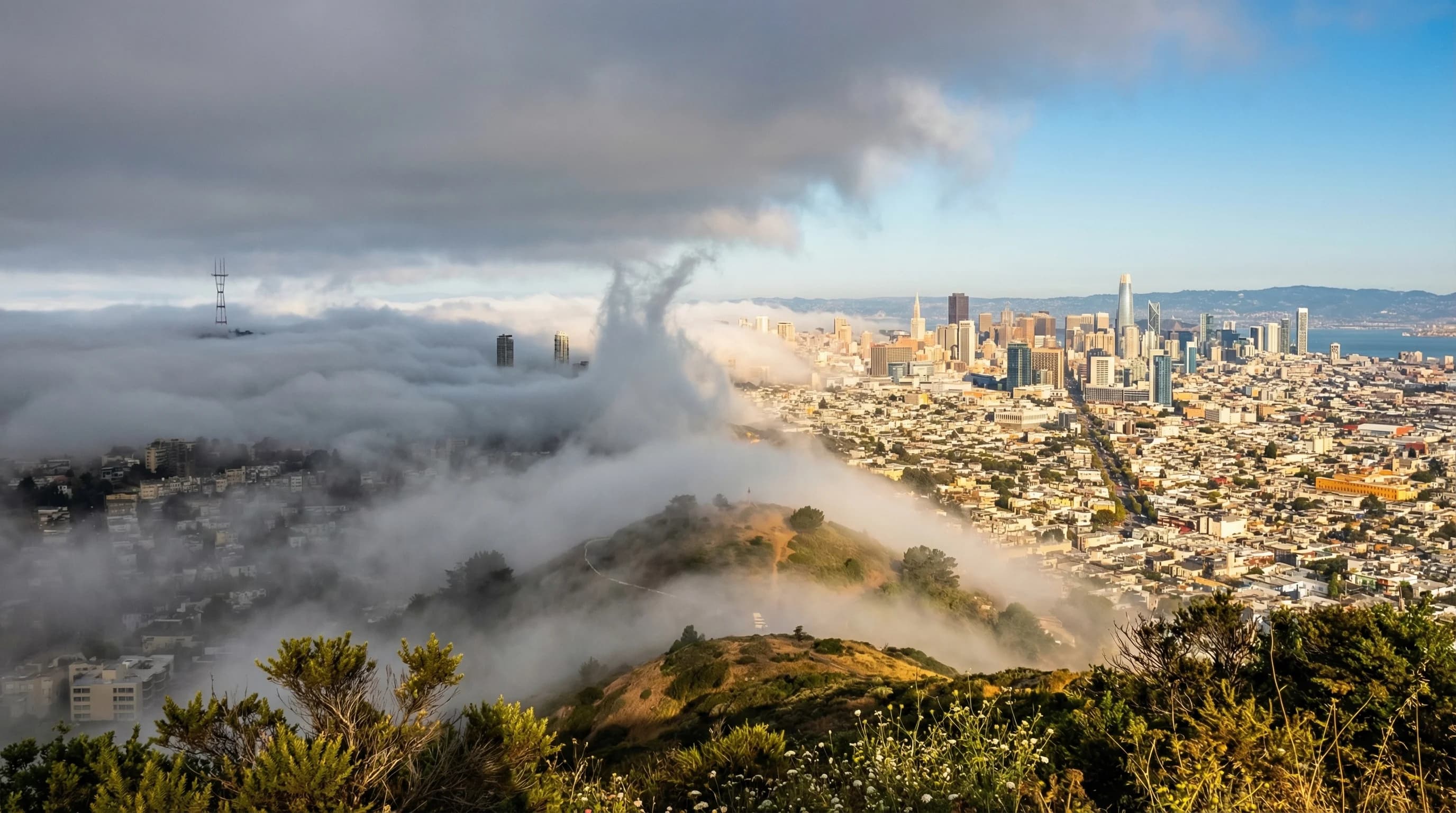 When San Francisco's Summer Fog Burns Off: The Thermal Low Effect