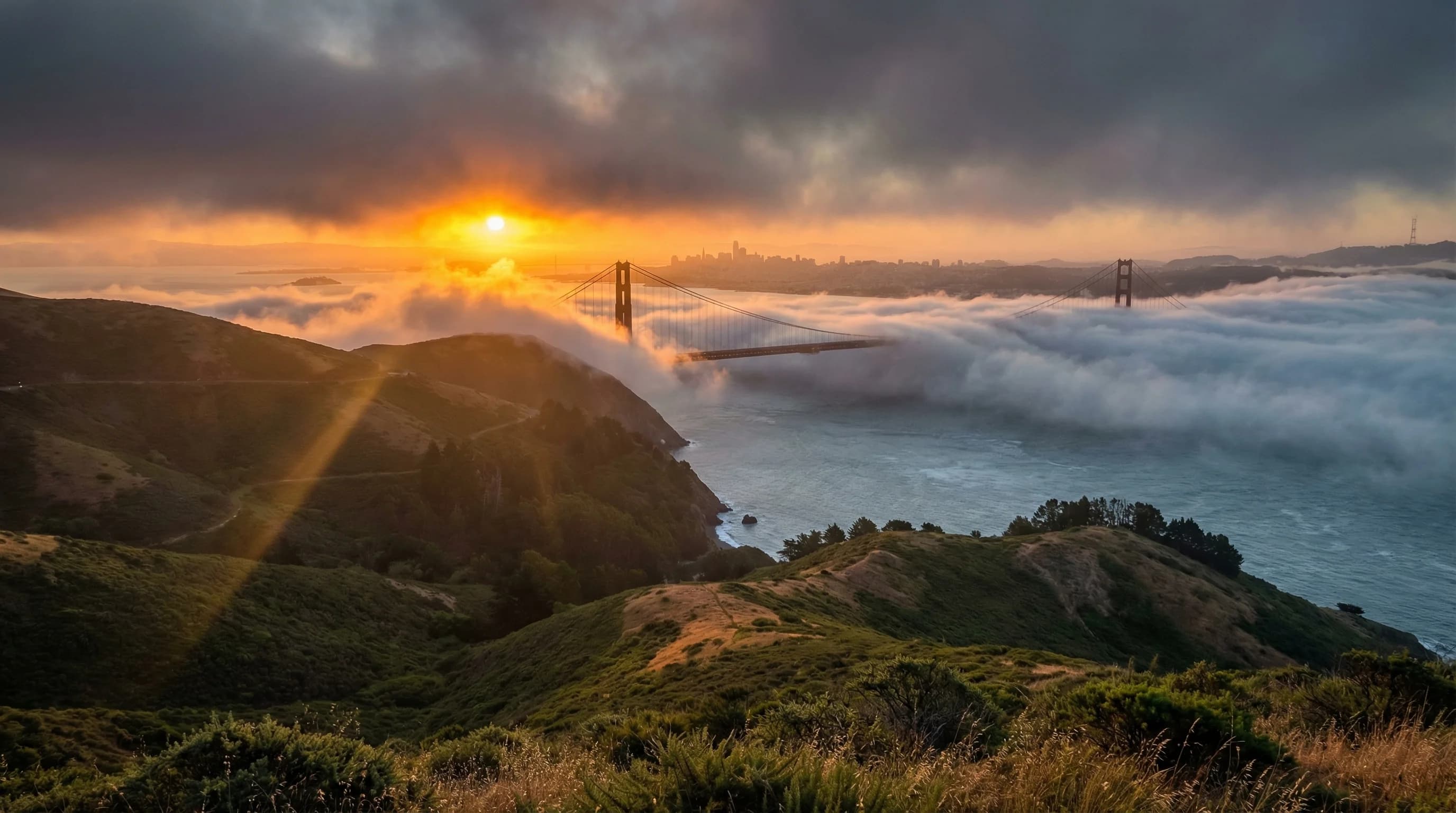 Why Bay Area Fog Is Most Intense in Summer (Not Winter)