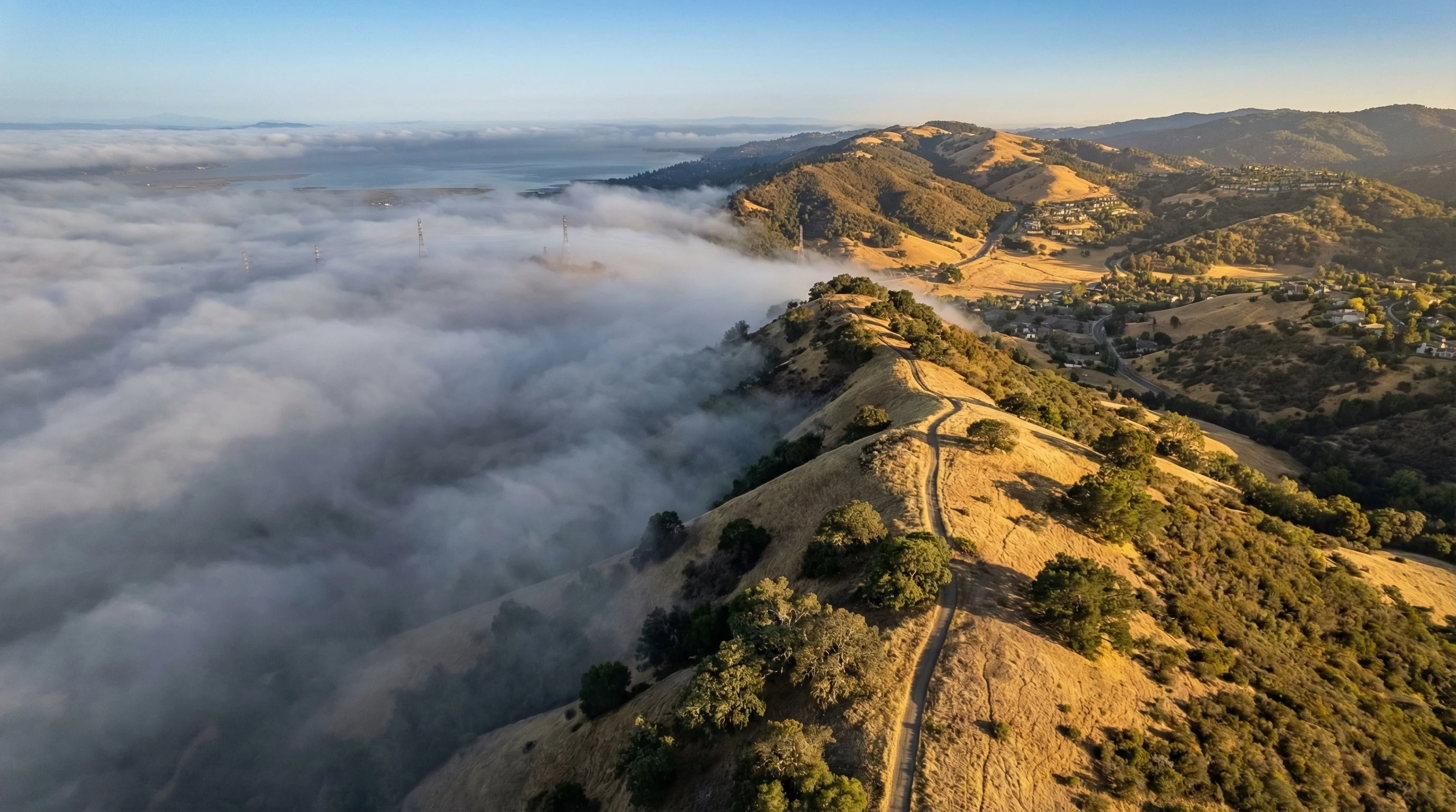 Berkeley Weather Berkeley Hills: A Weather Divide Between Coast and Valley - SFBayWeather