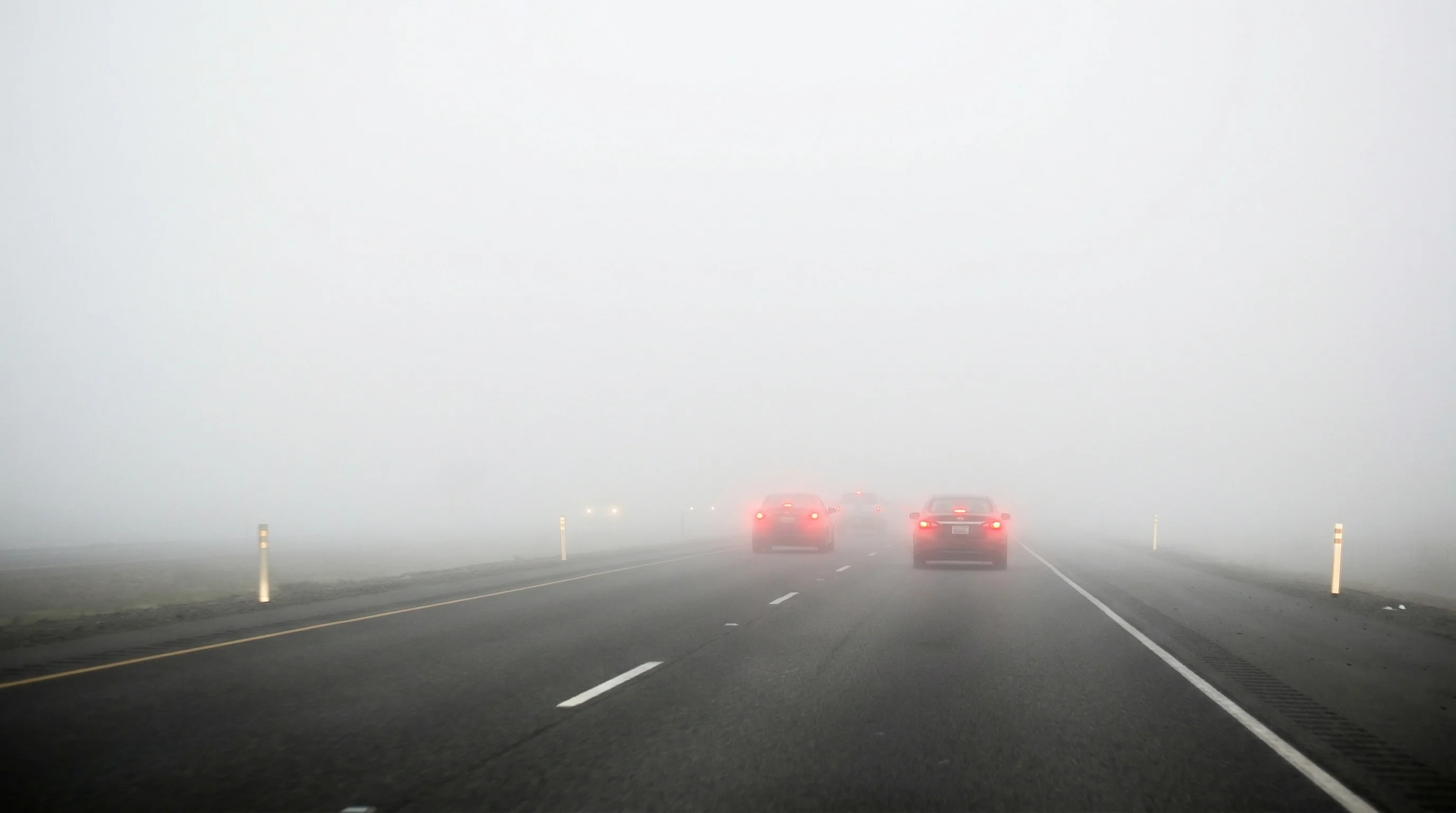 Tule Reeds Winter What Is Tule Fog? California's Densest Fog Explained - SFBayWeather